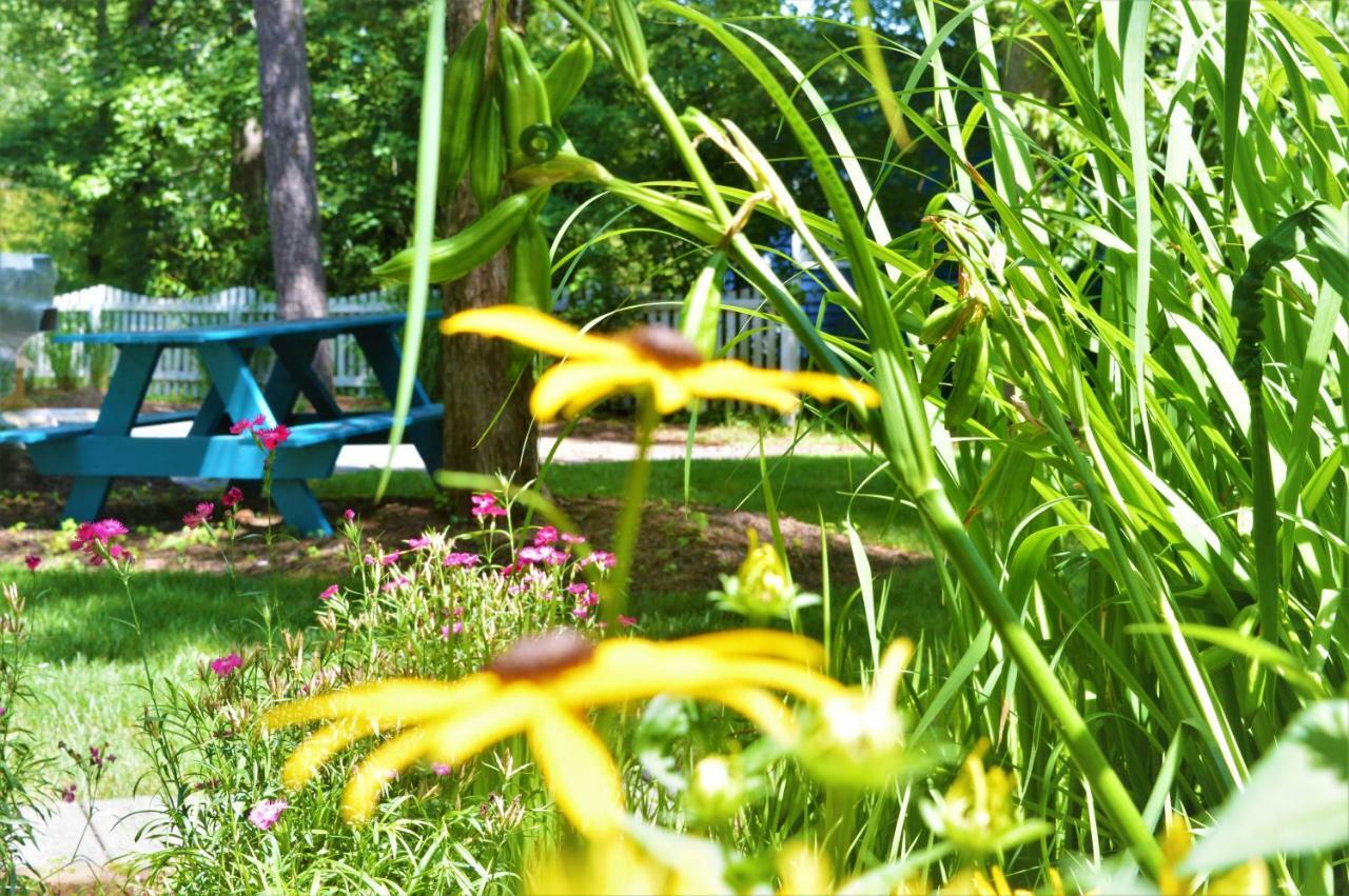 בת'אני ביץ' Meris Gardens B&B מראה חיצוני תמונה