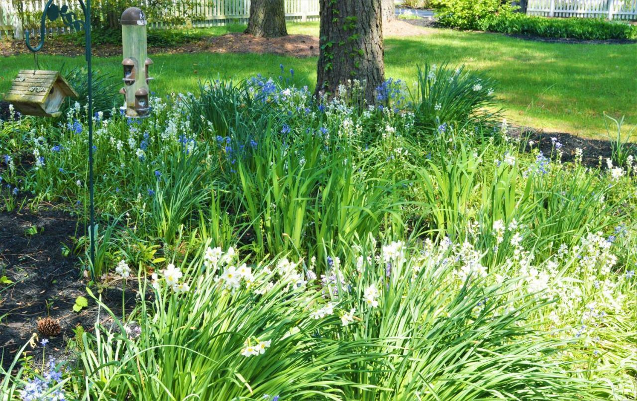 בת'אני ביץ' Meris Gardens B&B מראה חיצוני תמונה